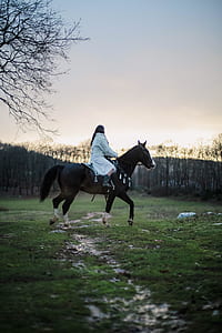 woman riding horse near bare tree thumbnail