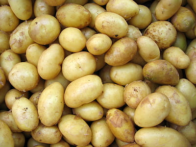brown potato lot thumbnail