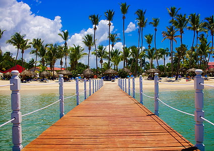 portrait photography of brown wooden boardwalk during daytime thumbnail