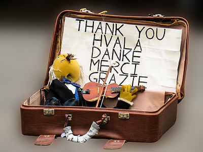 opened brown briefcase with miniature violin thumbnail