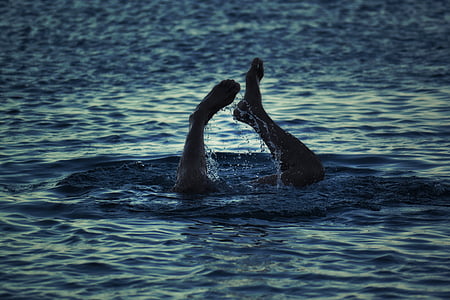 person diving in water thumbnail
