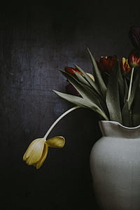 closeup photo of red and yellow tulip flowers on vase thumbnail