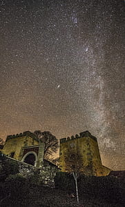 Brown Concrete House Near Bare Tree during Nighttime thumbnail