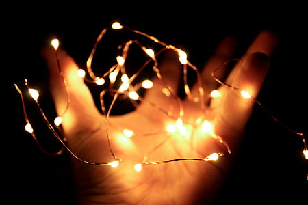 Person Holding String Lights thumbnail