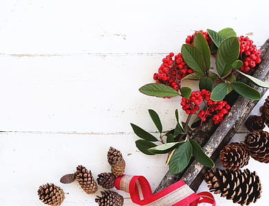 Brown Pine Cones thumbnail