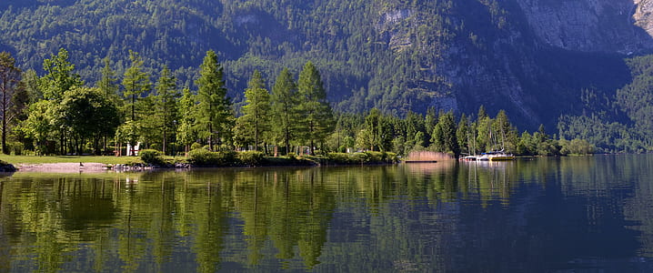 landscape photography of green leaf trees near body of water at daytime thumbnail