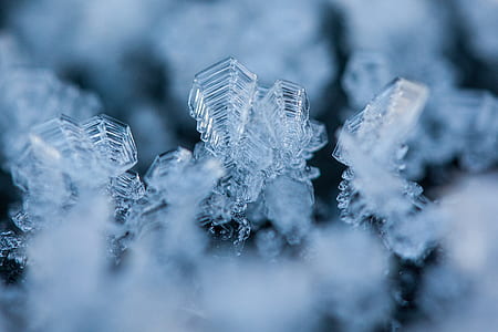macro photography of ice crystals thumbnail