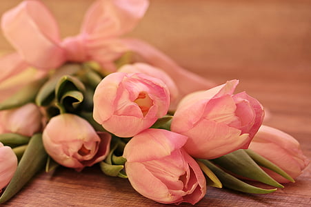 pink tulip on surface thumbnail