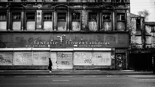 grayscale photo of Fantaste Flowers building thumbnail
