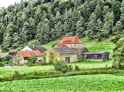 houses below hill and forest during daytime thumbnail