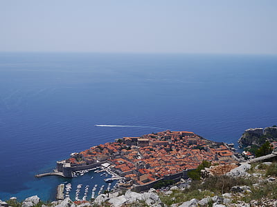 bird's eye-view photography of city near body of water thumbnail