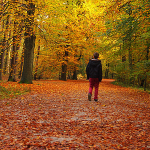 boy walking on in forest thumbnail