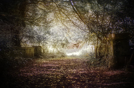 nature pathway thumbnail