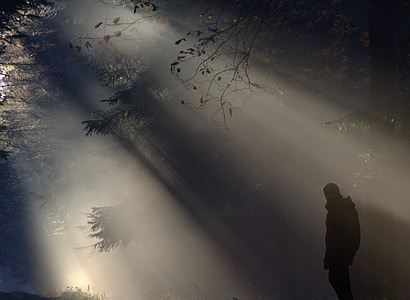 silhouette photo of man standing in the woods with ray of light thumbnail