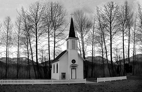 Church Behind of Bare Trees thumbnail