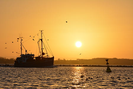 silhouette of ship on body of water during golden hour thumbnail