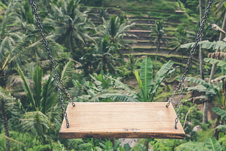 photo of outdoor swing in front of banana and coconut trees thumbnail