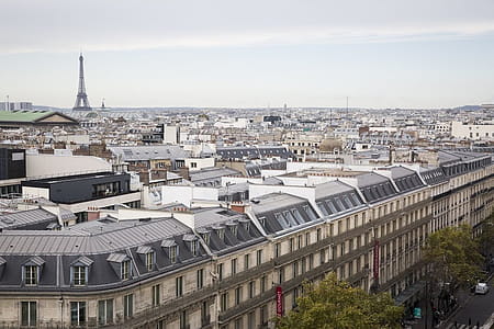 Top View of Paris City and Eiffel Tower thumbnail