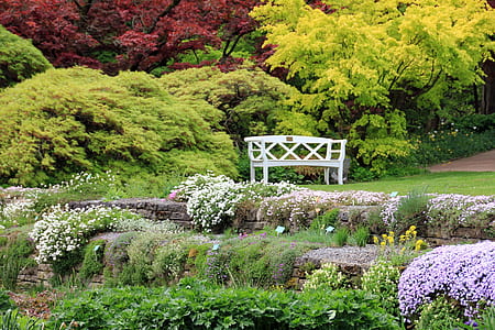 white wooden bench surrounded by green leafed trees thumbnail