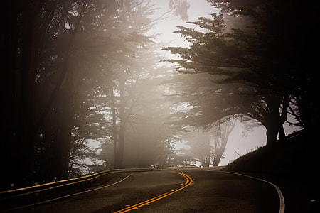 photo of foggy road during daytime thumbnail