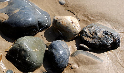gray stones on brown mud thumbnail