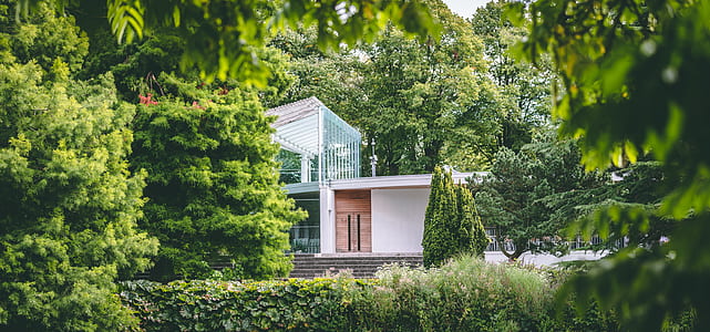 white concrete house surrounded by green trees thumbnail