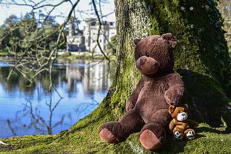 brown bear plush toy beside tree thumbnail