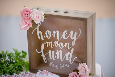 Honey Moon Fund Board With Pink Roses Party Favor thumbnail