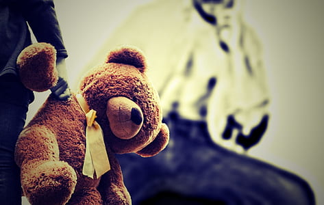 person holding brown bear plush toy thumbnail