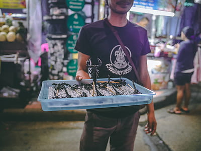 person holding blue plastic tray thumbnail