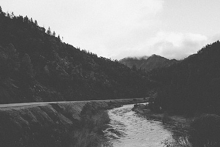 greyscale photography of road near river thumbnail