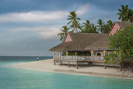 brown and gray cottages beside body of water thumbnail