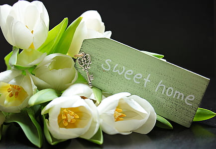 white tulips with sweet home text overlay thumbnail