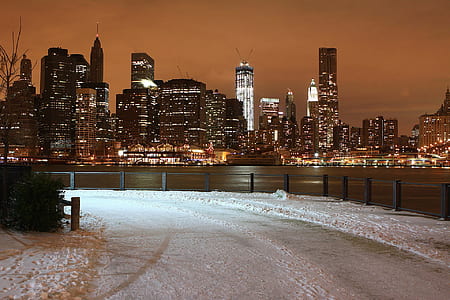 landscape photography of city skyline during night time thumbnail