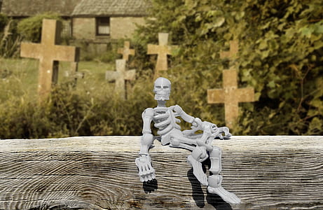 macro photography of skeleton toy on bench thumbnail