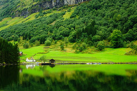 house on grass field thumbnail