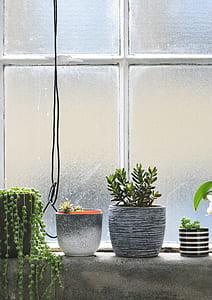 assorted plants in vase thumbnail