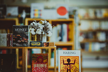several assorted-title book pile in shelf thumbnail