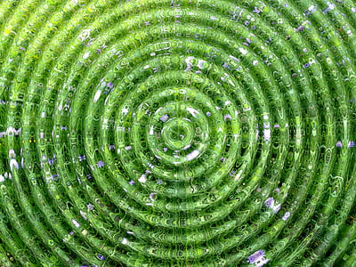 green wallpaper thumbnail