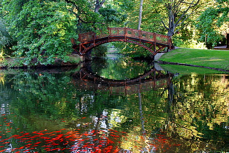 reflection of foot bridge on body of water thumbnail