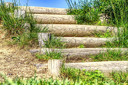 green grass on stairs thumbnail