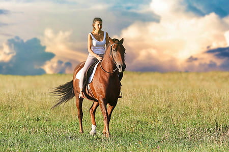 woman riding horse on green grass field during daytime thumbnail
