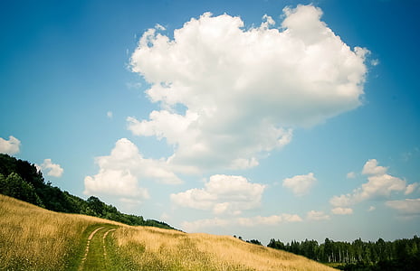 grass field with white clouds on sky thumbnail