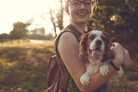 woman carrying Cavalier King Charles spaniel thumbnail