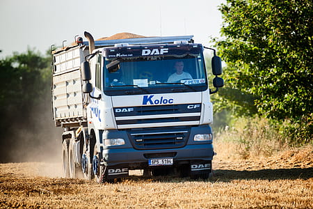 man driving cargo truck near tree during day thumbnail