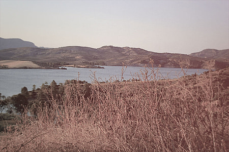 landscape photography of body of water thumbnail