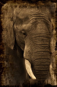 gray elephant painting thumbnail