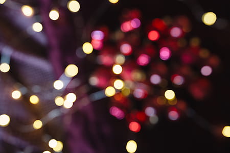 Burgundy Christmas Decorations thumbnail