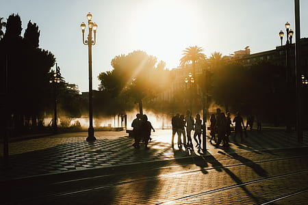 silhouette of persons standing on concrete surface with poles surrounded during daytime thumbnail