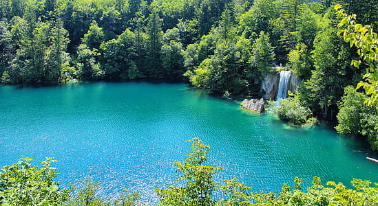 aerial view of body of water surrounded by trees thumbnail